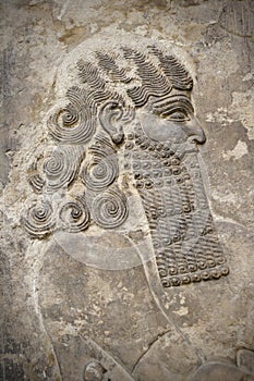 Head of an ancient assyrian warrior