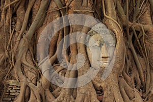 Head of ancient Buddha