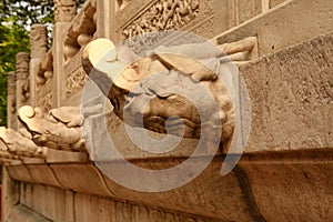 The head of an ancient stone dragon in the Forbidden City. Beijing