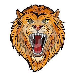 Head Angry, Roar Lion. Tattoo King Lion. Crown King.