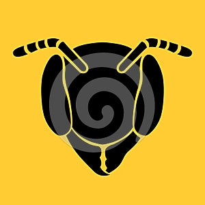 Head ant logo icon