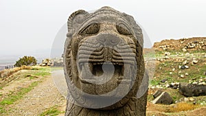 Head of the basalt lion, Ain Dara temple Aleppo, Syria photo