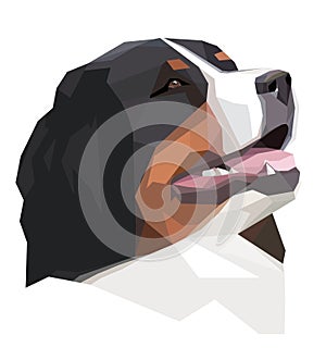 Head Bernese Mountain Dog in the geometric style