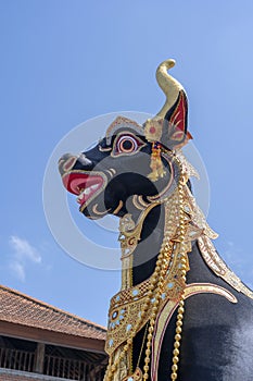 The head of a black buffalo during Bade cremation ceremony on central street in Ubud, Island Bali, Indonesia . Prepared for an