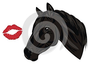 Horse and kiss