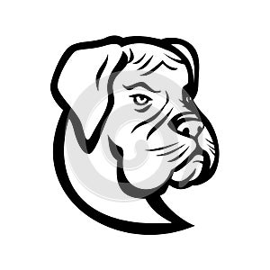 Head of Boxer Dog German Boxer or Deutscher Boxer Mascot Black and White