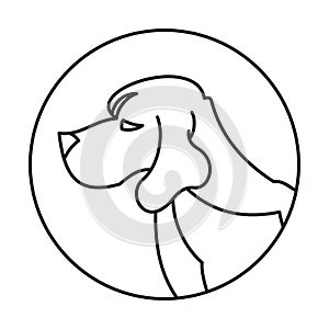 Head of breed dog beagle