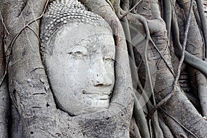 The head of Buddha