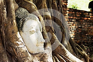 The head of Buddha