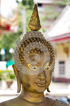 The Head Buddha