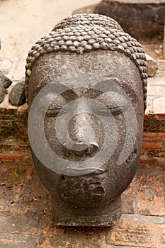 Head of Buddha, Ayutthaya