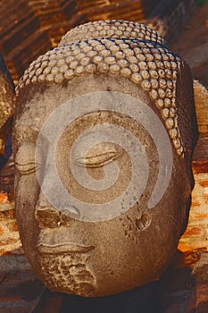 Head of Buddha, Ayutthaya, Thailand