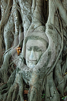 Head of Buddha image 2