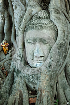 Head of Buddha image