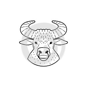 Head of bull or cow or astrology sign Taurus, vector illustration isolated.