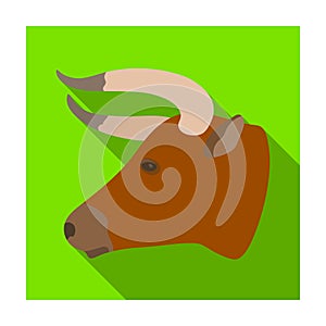Head of bull icon in flat style isolated on white background. Rodeo symbol.
