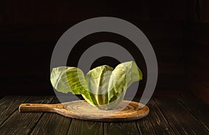 Head of cabbage on a cutting board in a restaurant kitchen. Vegetarian diet or cuisine. Free space for hotel menu