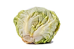 Head of cabbage with drops of water on white background