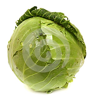 Head of Cabbage Isolated on White Background.