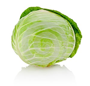 Head of cabbage isolated on white background