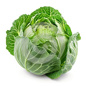Head of Cabbage Isolated on a White Background, Transparent Food Culinary Object, Organic Vegetables, Raw Leafy Green Veggies