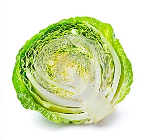A head of cabbage on a white background