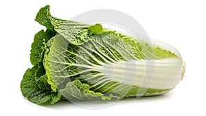 A head of cabbage on a white background (ai generated)