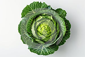 A Head of Cabbage on a White Background A single head of cabbage placed on a white background, showcasing its fresh and vibrant