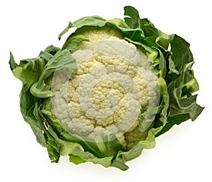 Head of cauliflower