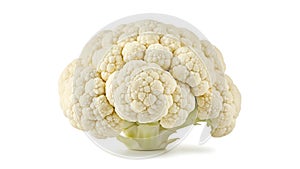 A head of cauliflower on a white background (ai generated)