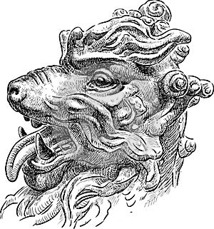 Head of the Chinese dragon
