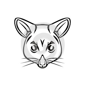 Head of Common Brushtail Possum Trichosurus Vulpecula Semi-Arboreal Marsupial Mascot Black and White photo