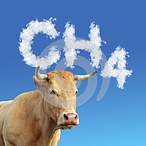 Head of cow with CH4 text from clouds at the background. photo