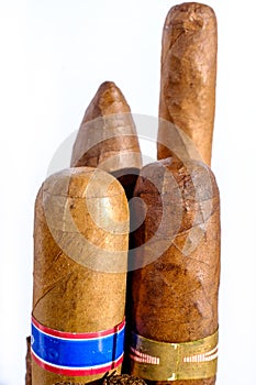 Head of Cuban cigars photo
