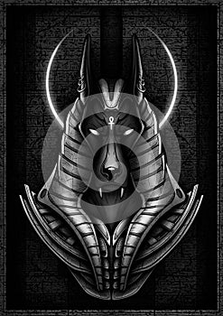 Head of a dark jackal - Guardian of the scales on the trial Osiris in the kingdom of the dead. Ancient Egyptian God - Anubis