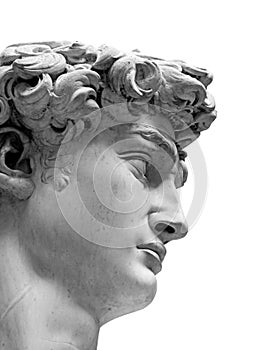 Head of David statue by Michelangelo isolated