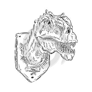 Head dinosaur