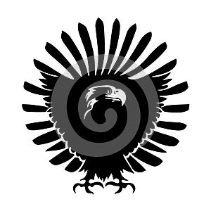 The head of an eagle among feathers and with paws stylized as a coat of arms. Good for tattoo. Editable vector monochrome image