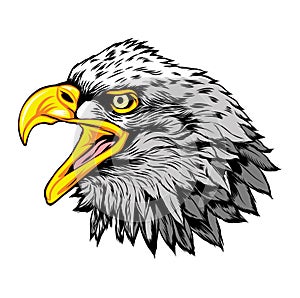 Head of Eagle Mascot Vector Logo