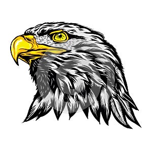 Head of Eagle Strong Style, Vector Illustration