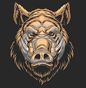 Head ferocious boar