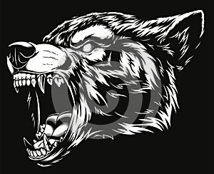 Head of the ferocious wolf