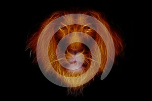 Head of fire lion