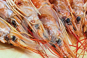 Head fresh shrimps large red, brewing snack, base Bisk soup traditional dish of spain and italy