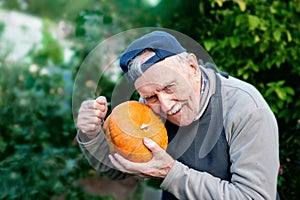 Head gardener checks the ripeness of the pumpkin. The 87 - year-old farmer enjoys the pumpkin harvest in the garden. Cheerful