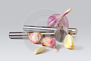 Head, garlic cloves and a metal garlic press, on a light gray background