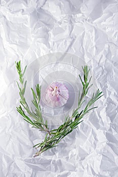 A head of garlic and rosemary on a white parchment paper background