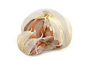 Head of garlic on a white background