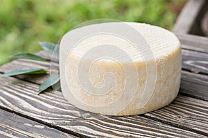 Head of goat cheese