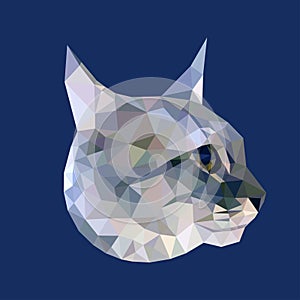 Head of gray cat with blue eyes low polygon isolated on blue background.